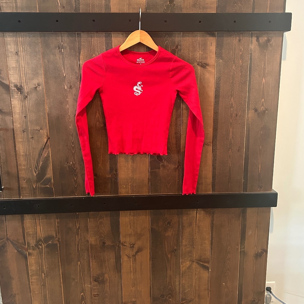 Hollister Y2K Dragon Long Sleeve Shirt Women’s Size XS